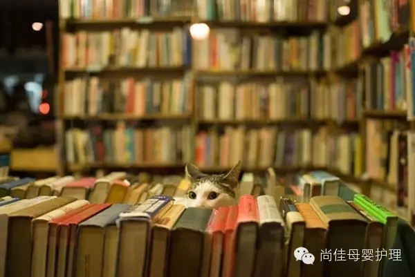 家政服務(wù)員中五大錯誤要點(diǎn)，您中招了嗎？