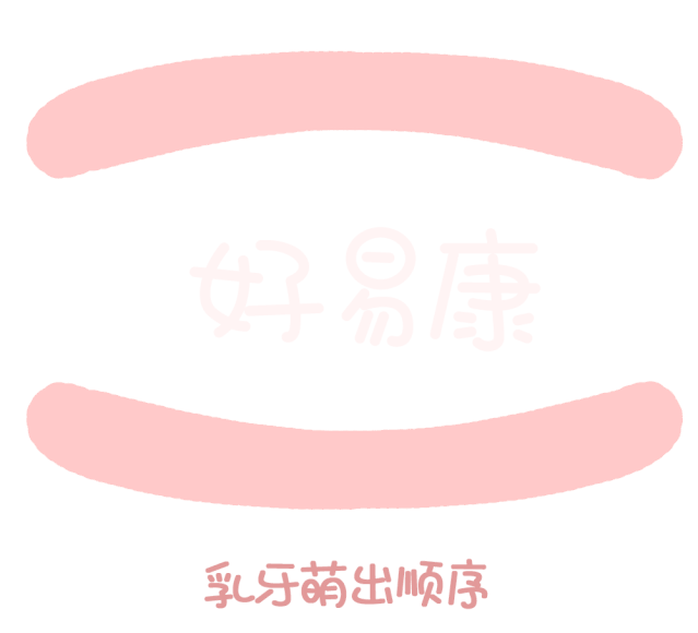 尚佳專業(yè)月嫂丨關(guān)于寶寶長牙問題，都在這里！